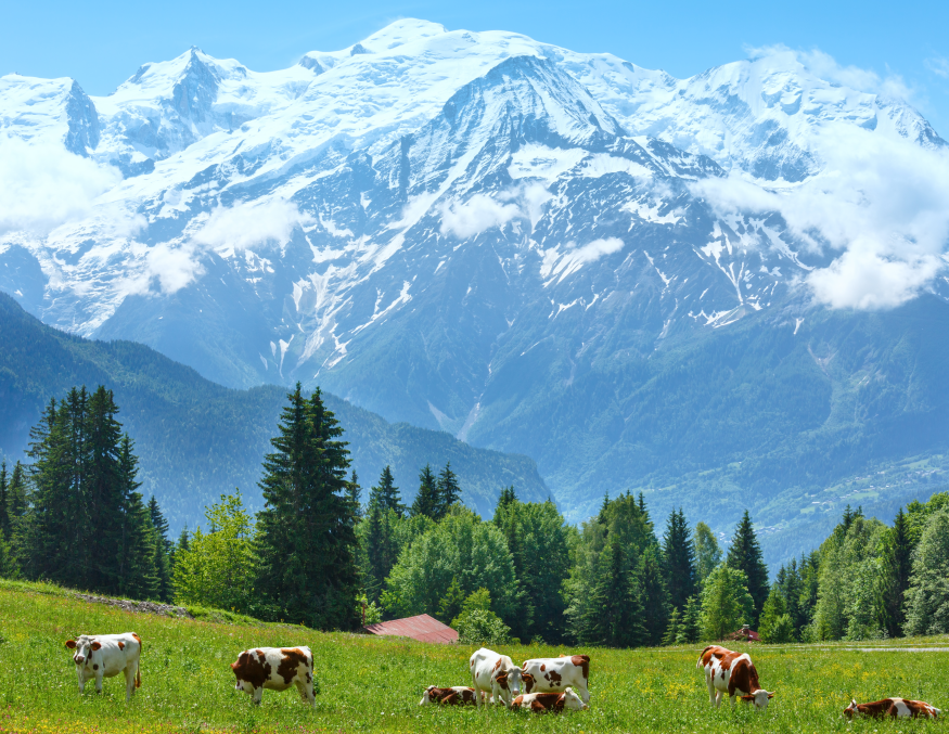 13 Days Private Tour of Xining - Lanzhou - Xiahe - Lanzhou - Wuwei - Zhangye - Jiayuguan - Dunhuang - Turpan - Urumqi